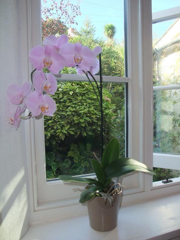 The Fernery B&B Lynton Quarto foto